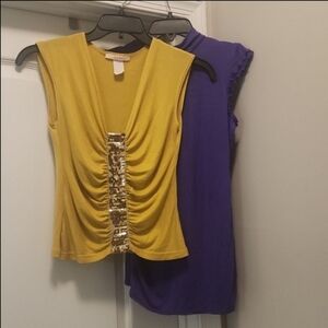 (2) Sleeveless Blouses, medium